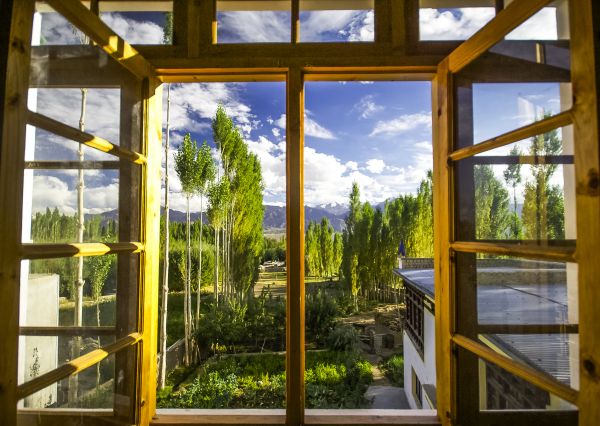 Wood Window Replacement in Marshall